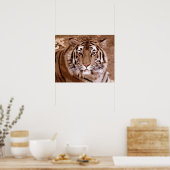 Poster Tigre (Cuisine)
