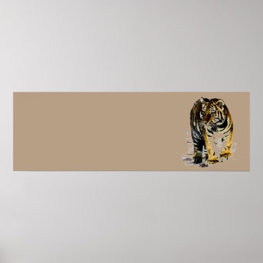 Poster Tigre (Devant)