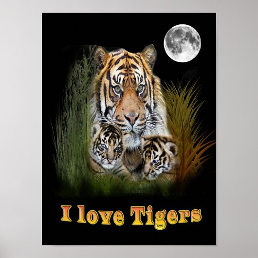 Poster tigre (Devant)