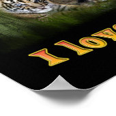 Poster tigre (Coin)