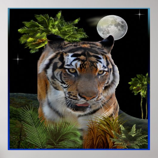 Poster Tigre (Devant)