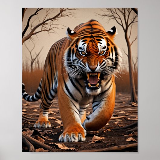 Poster Tigre (Devant)