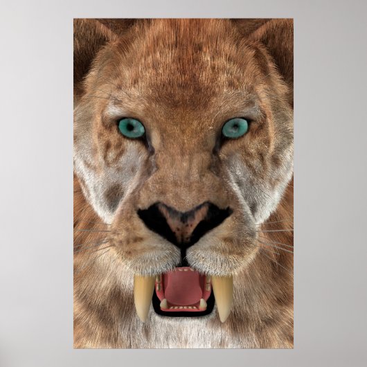 Poster Tigre à dents de sabre ou Smilodon (Devant)
