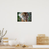 Poster Tigre à patte (Cuisine)