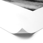 Poster Tigre Amur #1 (Coin)