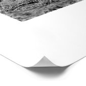 Poster Tigre Amur #3 (Coin)