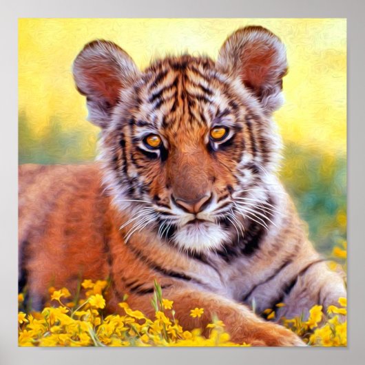 Poster Tigre Baby Cub (Devant)