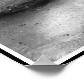 Poster Tigre Bengale blanc imprimé en noir et blanc (Coin)