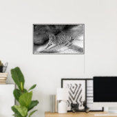 Poster Tigre Bengale blanc imprimé en noir et blanc (Bureau à domicile)