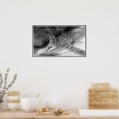 Poster Tigre Bengale blanc imprimé en noir et blanc (Cuisine)