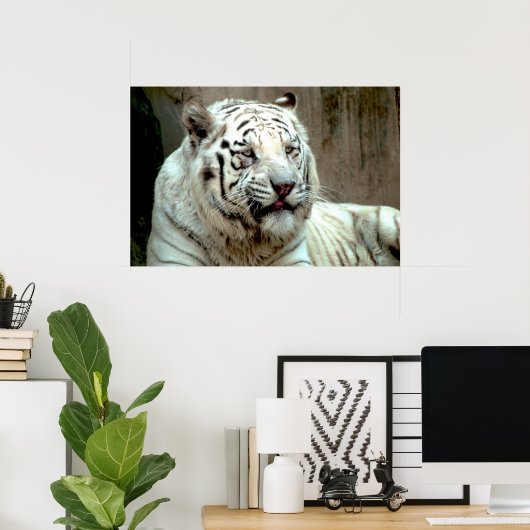 Poster Tigre blanc (Bureau à domicile)