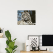 Poster Tigre blanc (Bureau à domicile)