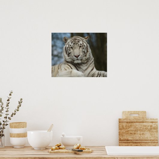 Poster Tigre blanc (Cuisine)