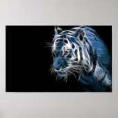 Poster Tigre blanc (Devant)