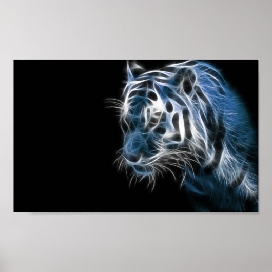 Poster Tigre blanc (Devant)