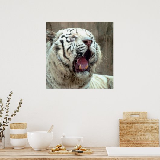 Poster Tigre blanc (Cuisine)