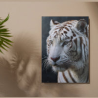 Tigre blanc