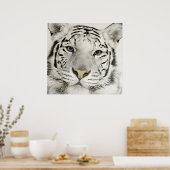 Poster Tigre blanc (Cuisine)