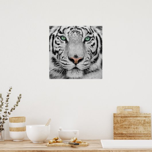 Poster Tigre blanc (Cuisine)