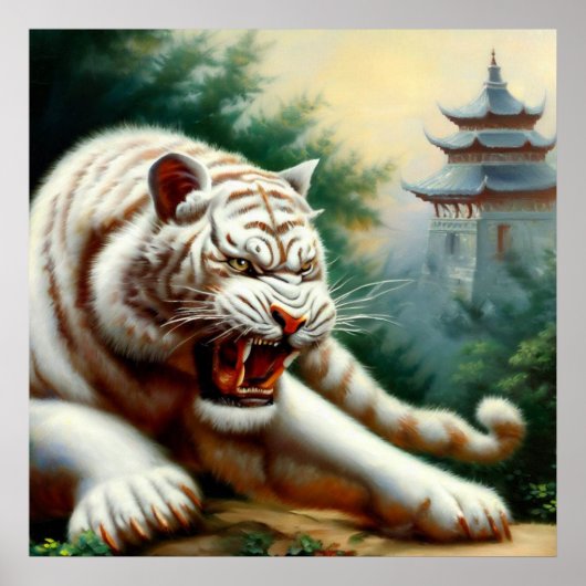 Poster Tigre blanc chinois (2) (Devant)