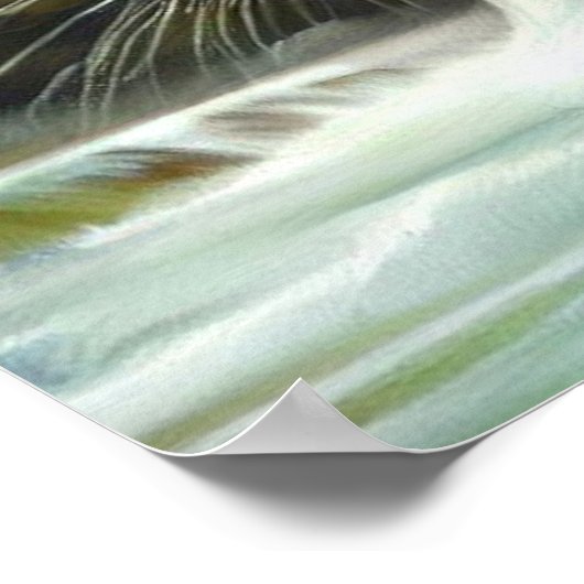 Poster Tigre blanc chinois (20) (Coin)