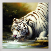 Poster Tigre blanc chinois (20) (Devant)