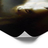 Poster Tigre blanc chinois (34) (Coin)