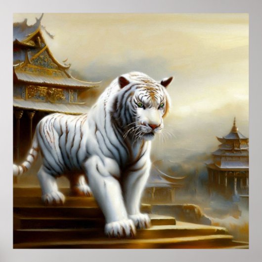 Poster Tigre blanc chinois (5) (Devant)
