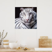 Poster Tigre blanc du Bengale (Cuisine)
