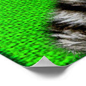 Poster Tigre blanc du Bengale : fond de fureur sur vert (Coin)