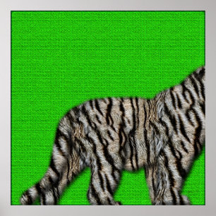 Poster Tigre blanc du Bengale : fond de fureur sur vert