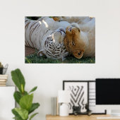 Poster Tigre blanc et pots de lion (Bureau à domicile)