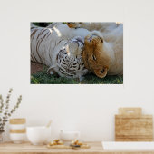 Poster Tigre blanc et pots de lion (Cuisine)