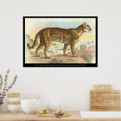Poster Tigre-Chat (Cuisine)