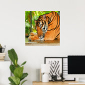 Poster Tigre couchant (Bureau à domicile)