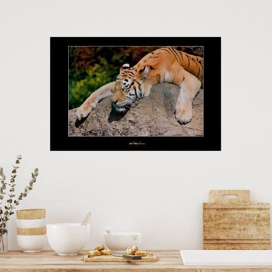 Poster Tigre couchant (Cuisine)