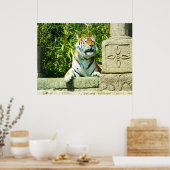 Poster Tigre dans le temple (Cuisine)