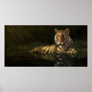 Poster Tigre dans l'eau peinture numérique