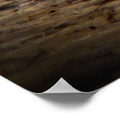 Poster Tigre de contenu (Coin)