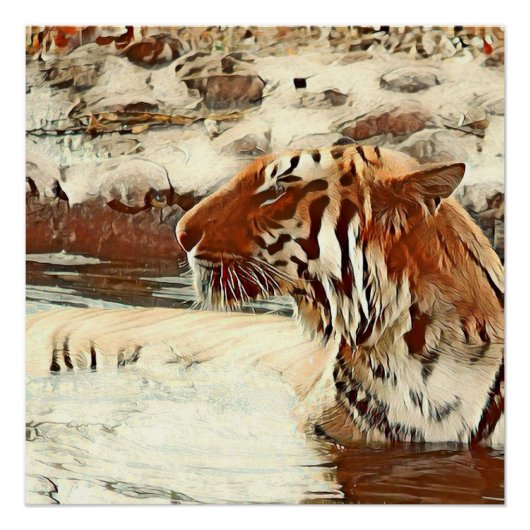 Poster tigre de natation de couleur chaude (Devant)