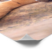 Poster Tigre de rappel relaxant (Coin)