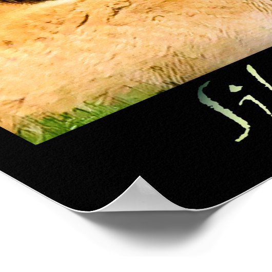 Poster Tigre de Sibérie (Coin)