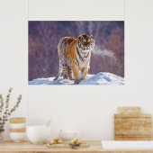 Poster Tigre de Sibérie dans la neige, Chine (Cuisine)