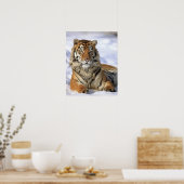Poster Tigre de Sibérie, Panthera tigris altaica, Asie, (Cuisine)