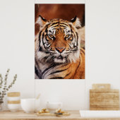 Poster Tigre de Sumatra (Cuisine)