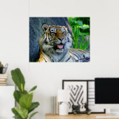 Poster Tigre de Sumatran (Bureau à domicile)
