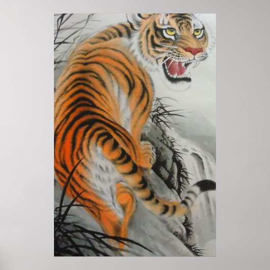 Poster Tigre du Bengale (Devant)