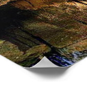 Poster Tigre Du Bengale Dans La Grotte (Coin)