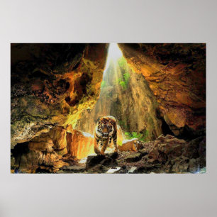 Poster Tigre Du Bengale Dans La Grotte