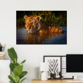Poster Tigre du Bengale vous regardant depuis l'affiche d (Bureau à domicile)